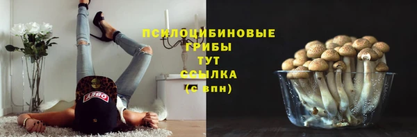 ешки Абинск