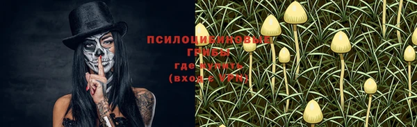 ешки Абинск