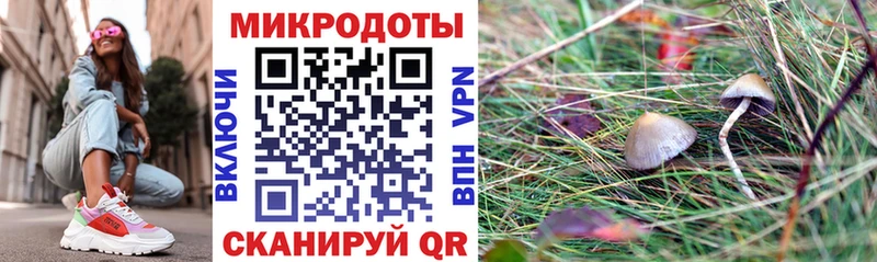 darknet наркотические препараты Инза Псилоцибиновые грибы GOLDEN TEACHER